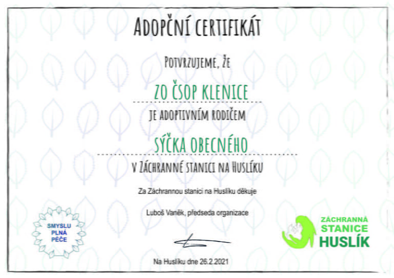 Adopční certifikát sýček Klenice