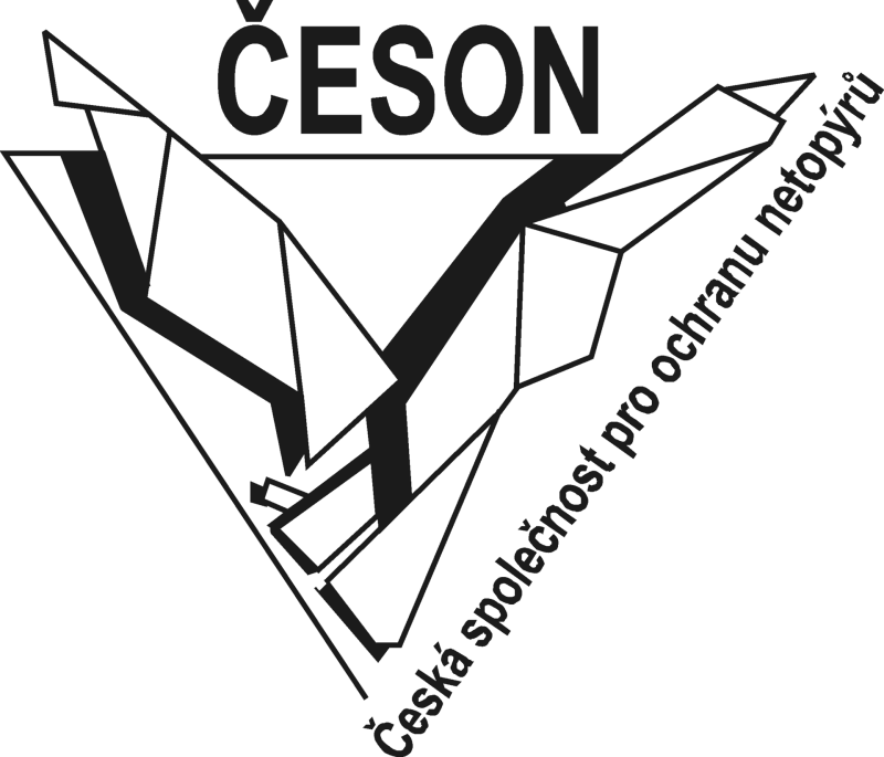 ceson_velke_pruhl_800