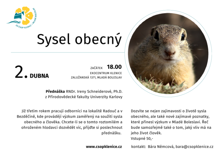 Sysel obecný