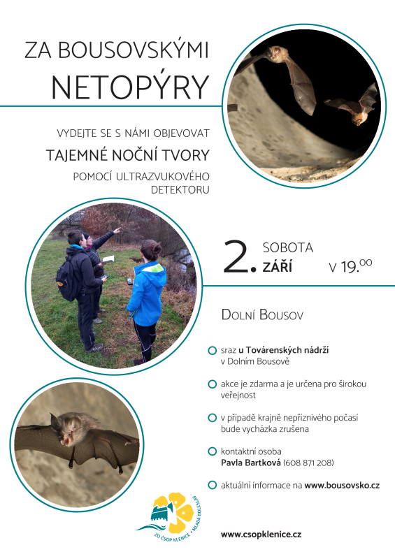 Za_bousovskymi_netopyry